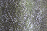 Gorstan fibreglass roof work